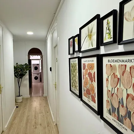 Homestay Travelers House Lisbon